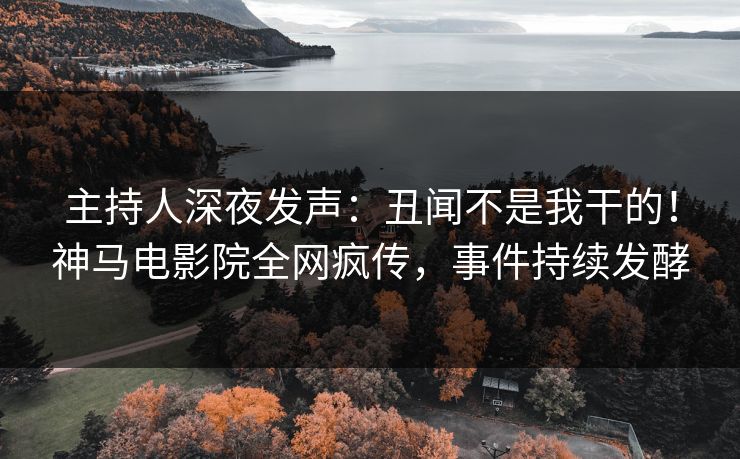 主持人深夜发声：丑闻不是我干的！神马电影院全网疯传，事件持续发酵